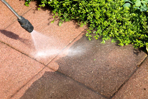 Best Commercial Building Pressure Washing  in Avalon, PA